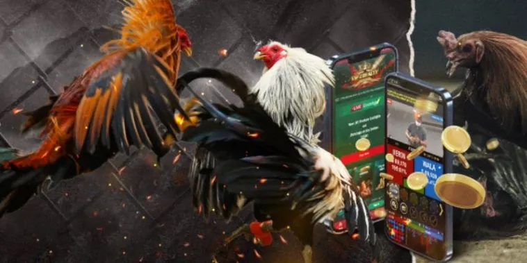 Cách Chơi Đá Gà GA28 Tại VN88 Thắng Lớn Kịch Tính