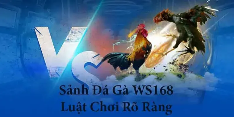Bí Quyết Thắng Lớn Khi Chơi Đá Gà WS168 Tại VN88 Đỉnh Cao