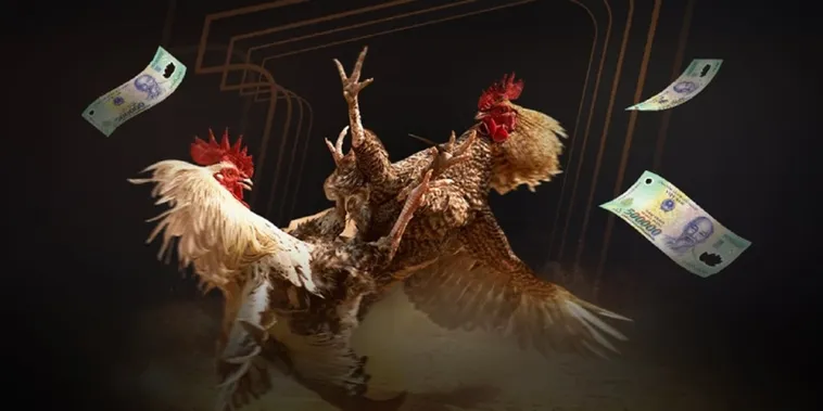 Đá Gà VN88 Thiên Đường Cá Cược Hấp Dẫn Nhất