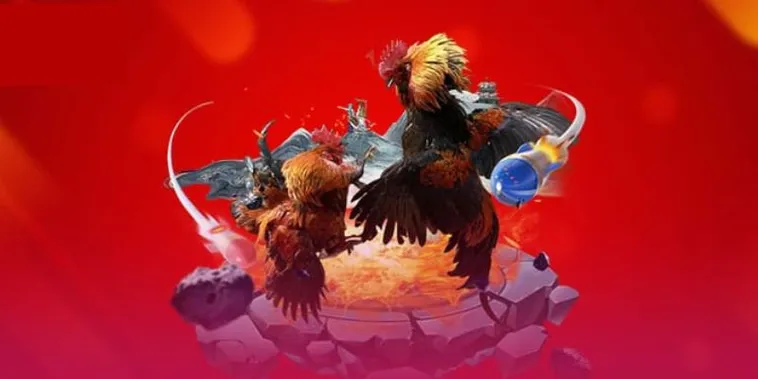 Đá Gà VN88 Thiên Đường Cá Cược Hấp Dẫn Nhất