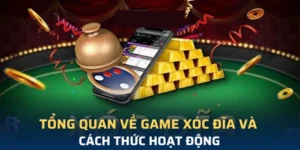 Xóc Đĩa Tại VN88 Chinh Phục Trò Chơi Dân Gian Đỉnh Cao Hấp Dẫn
